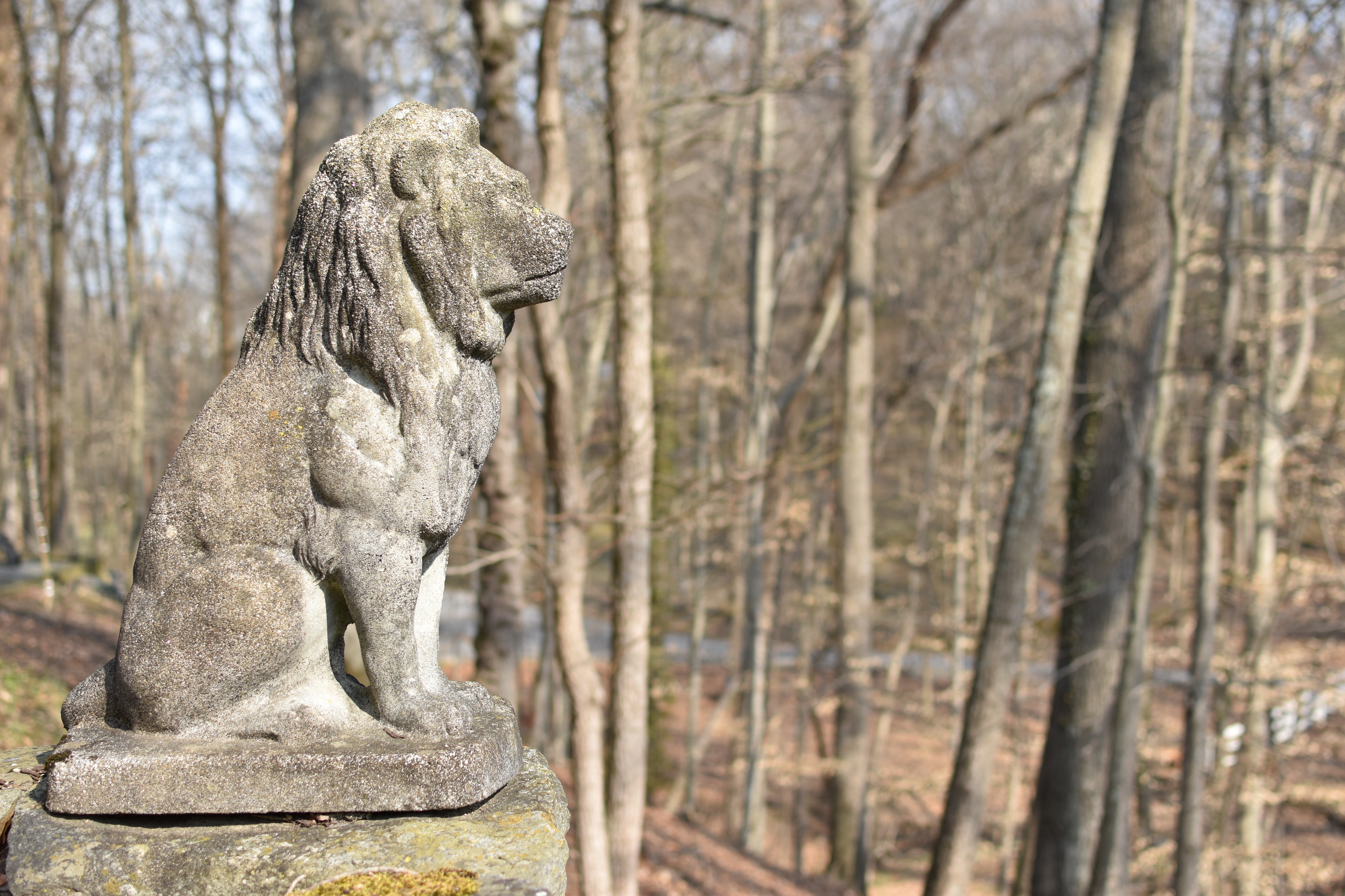 Stone lion on the terrace